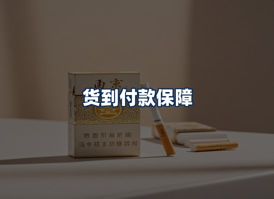 专业团队办公环境